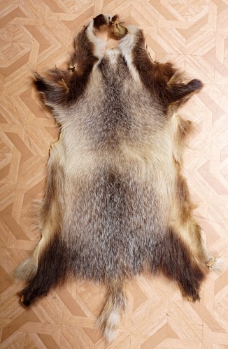 Schönes dachsfell badger fur - schönes,
