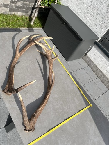 Hochkapitale sehr lange - sehr,