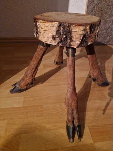 Hocker baumscheibe holzscheibe - hocker,