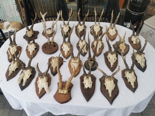 Sammlung konvolut stück - sammlung,