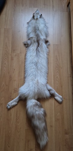 Smokey snow glow fuchs - smokey, fox