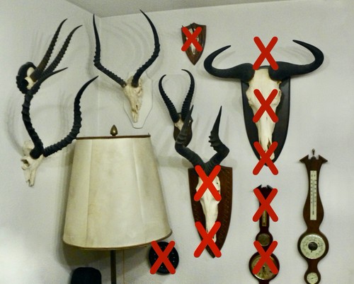 Trophäe sammlung geweih - sammlung,