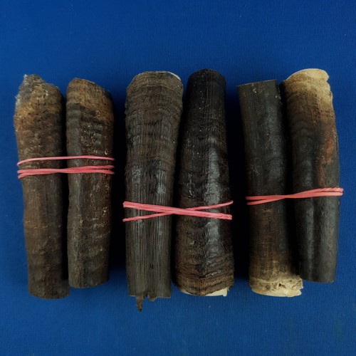 Gams gemse horn gamskrickerl - gemse,