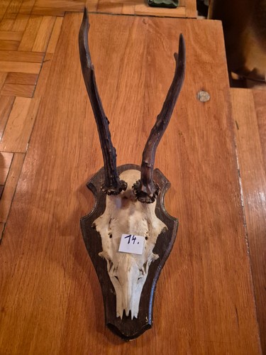 Großer rehbock 300g - rehbock, 26cm