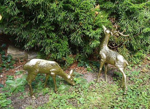 Hirsch mit hirschkuh - mit, aus