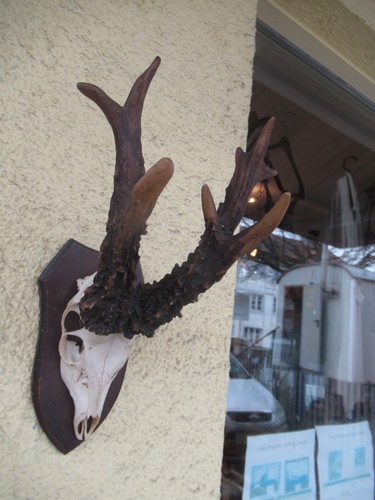 Ungarischer rehbock der - ungarischer,