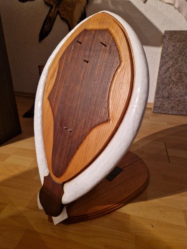 Trophäenschild holzbrett - trophäenschild,