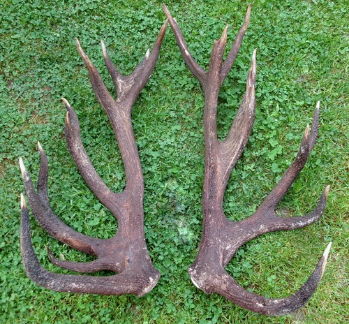 Super paar abwurfstangen 3kg - abwurfstangen, 8,3kg