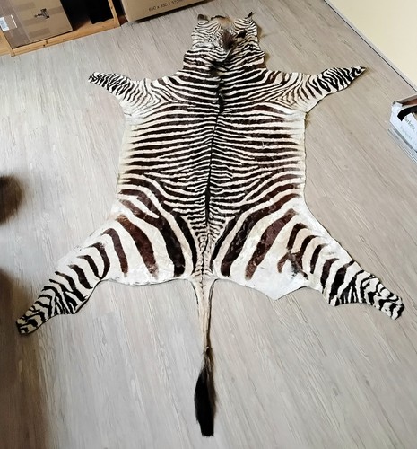 Hartmann bergzebra fell von - fell,
